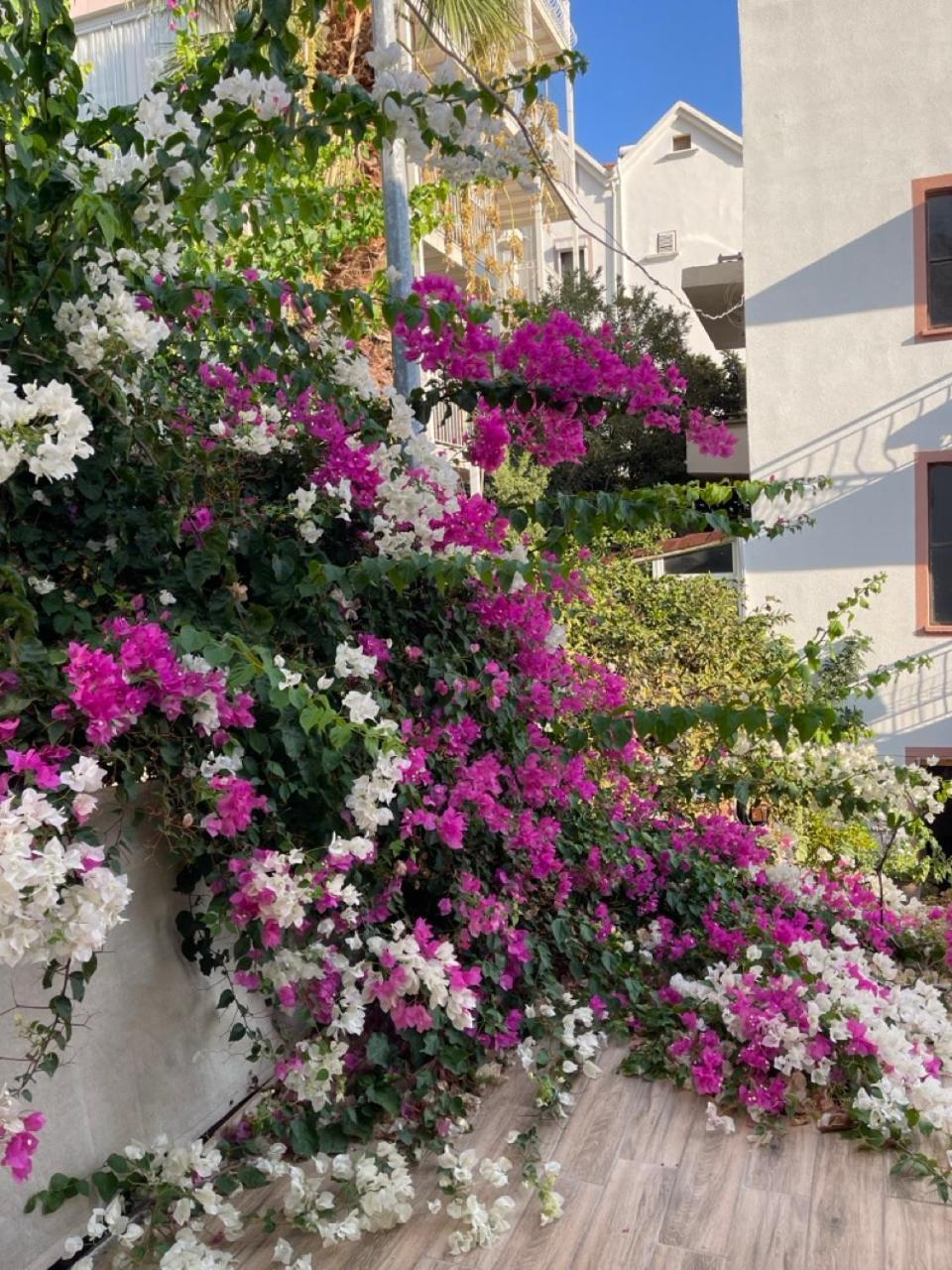 Paydos Pansiyon Kaş Esterno foto